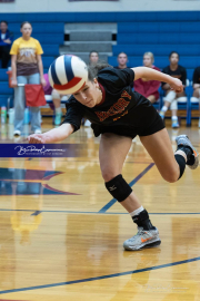 Falcon Bash Invitational Volleyball Tournament (BR3_7063)