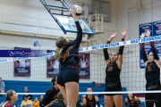 Falcon Bash Invitational Volleyball Tournament (BR3_7094)