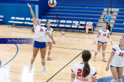 Falcon Bash Invitational Volleyball Tournament (BR3_7200)