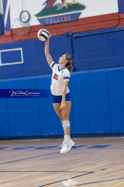 Falcon Bash Invitational Volleyball Tournament (BR3_7595)