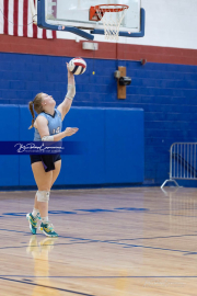 Falcon Bash Invitational Volleyball Tournament (BR3_7650)