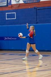 Falcon Bash Invitational Volleyball Tournament (BR3_7697)