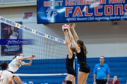 Falcon Bash Invitational Volleyball Tournament (BR3_8259)
