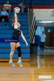 Falcon Bash Invitational Volleyball Tournament (BR3_8492)