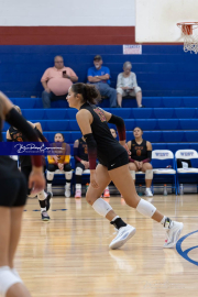 Falcon Bash Invitational Volleyball Tournament (BR3_8505)