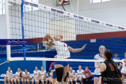 Falcon Bash Invitational Volleyball Tournament (BR3_8540)