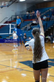 Falcon Bash Invitational Volleyball Tournament (BR3_8853)