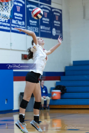 Falcon Bash Invitational Volleyball Tournament (BR3_8877)
