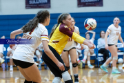Falcon Bash Invitational Volleyball Tournament (BR3_8970)