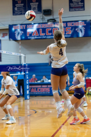 Falcon Bash Invitational Volleyball Tournament (BR3_9086)