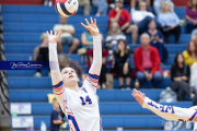 Girls Volleyball North Henderson at West Henderson (BR3_2135)