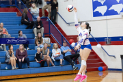 Girls Volleyball North Henderson at West Henderson (BR3_2145)