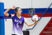 Girls Volleyball North Henderson at West Henderson (BR3_2160)