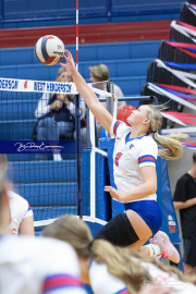 Girls Volleyball North Henderson at West Henderson (BR3_2849)