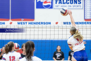 Girls Volleyball North Henderson at West Henderson (BR3_2899)