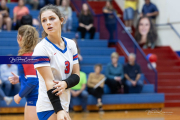Girls Volleyball North Henderson at West Henderson (BR3_3005)