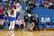Girls Volleyball North Henderson at West Henderson (BR3_3020)