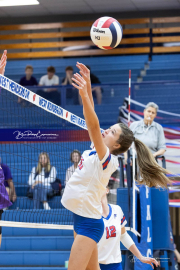 Girls Volleyball North Henderson at West Henderson (BR3_3139)