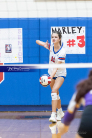 Girls Volleyball North Henderson at West Henderson (BR3_3293)