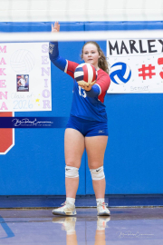 Girls Volleyball North Henderson at West Henderson (BR3_3460)