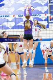 Girls Volleyball North Henderson at West Henderson (BR3_3546)