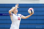 Girls Volleyball North Henderson at West Henderson (BR3_3740)