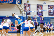 Girls Volleyball North Henderson at West Henderson (BR3_3790)