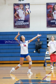 Girls Volleyball North Henderson at West Henderson (BR3_3854)