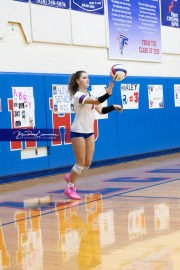 Girls Volleyball North Henderson at West Henderson (BR3_3902)