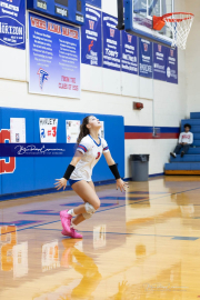 Girls Volleyball North Henderson at West Henderson (BR3_3906)