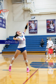 Girls Volleyball North Henderson at West Henderson (BR3_3912)