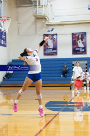 Girls Volleyball North Henderson at West Henderson (BR3_3913)