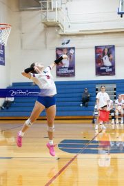 Girls Volleyball North Henderson at West Henderson (BR3_3914)