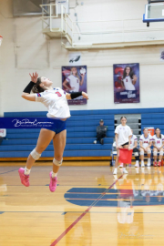 Girls Volleyball North Henderson at West Henderson (BR3_3916)