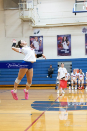 Girls Volleyball North Henderson at West Henderson (BR3_3917)