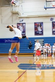 Girls Volleyball North Henderson at West Henderson (BR3_3918)
