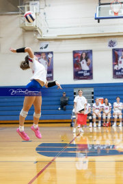 Girls Volleyball North Henderson at West Henderson (BR3_3919)