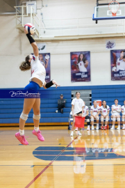 Girls Volleyball North Henderson at West Henderson (BR3_3920)