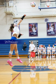 Girls Volleyball North Henderson at West Henderson (BR3_3922)