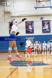 Girls Volleyball North Henderson at West Henderson (BR3_3923)
