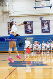 Girls Volleyball North Henderson at West Henderson (BR3_3924)