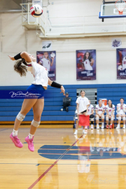 Girls Volleyball North Henderson at West Henderson (BR3_3942)