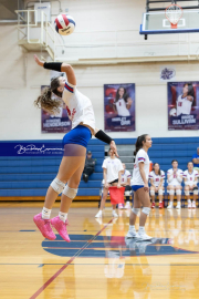 Girls Volleyball North Henderson at West Henderson (BR3_3983)