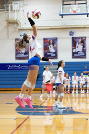 Girls Volleyball North Henderson at West Henderson (BR3_3984)