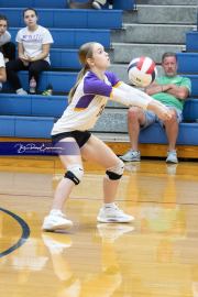Girls Volleyball North Henderson at West Henderson (BR3_4134)