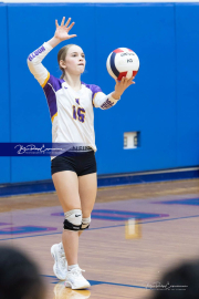 Girls Volleyball North Henderson at West Henderson (BR3_4153)