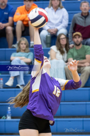 Girls Volleyball North Henderson at West Henderson (BR3_4222)