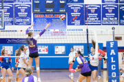 Girls Volleyball North Henderson at West Henderson (BR3_4261)