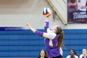 Girls Volleyball North Henderson at West Henderson (BR3_4270)