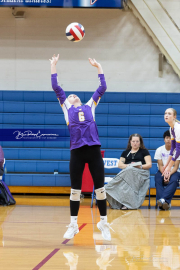 Girls Volleyball North Henderson at West Henderson (BR3_4307)